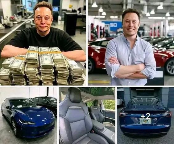 Elon Giveaway Grant